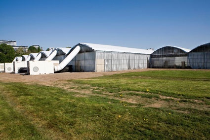 Aue-Pavillon, documenta 12