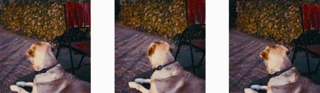 Hans von Trotha, "Ohne Titel", 2003-2004