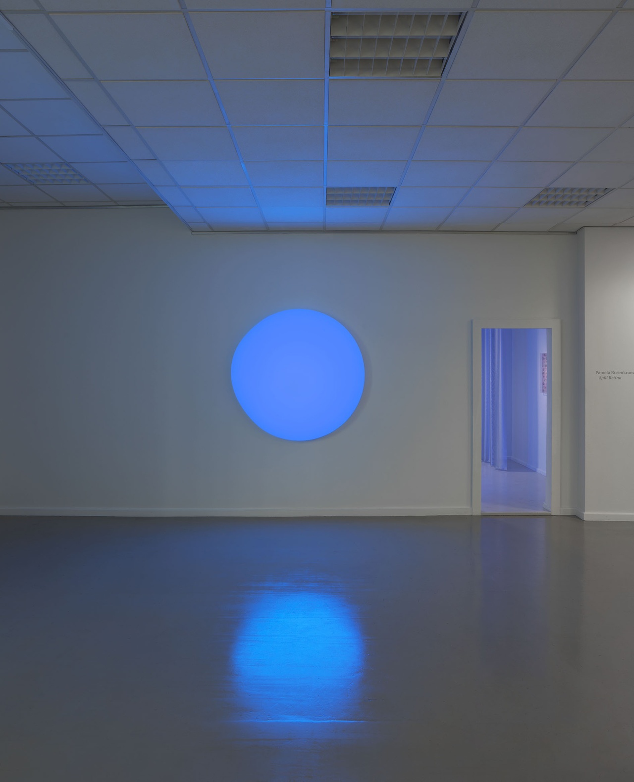 „Pamela Rosenkranz: Spill Retina“, Neuer Berliner Kunstverein (n.b.k.), Berlin, 2024