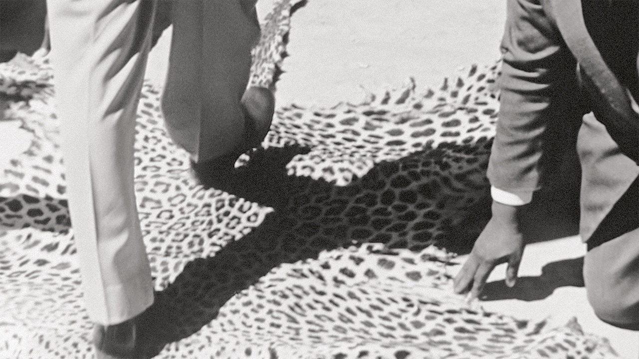 Jelena Jureša, “Aphasia,” 2019