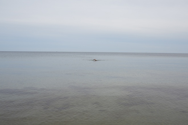 TZK107_J.Teller_Edition