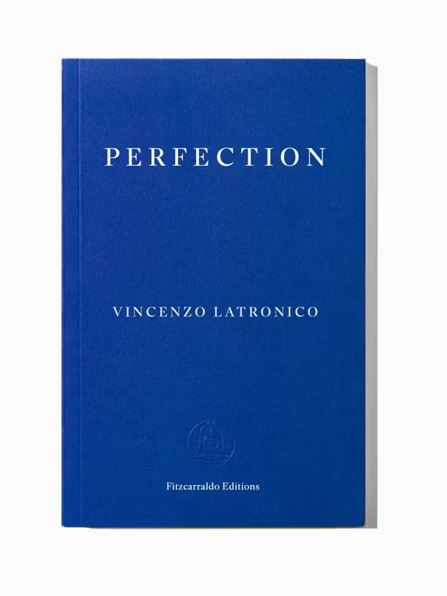 Vincenzo Latronico, “Perfection,” 2025