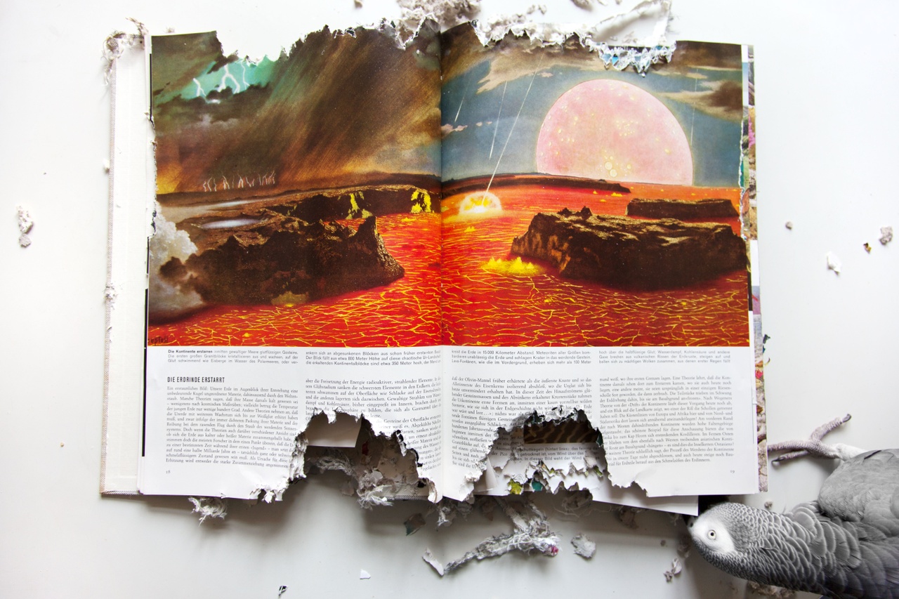 Hörner/Antlfinger, „Die Welt in der wir leben“, 2016