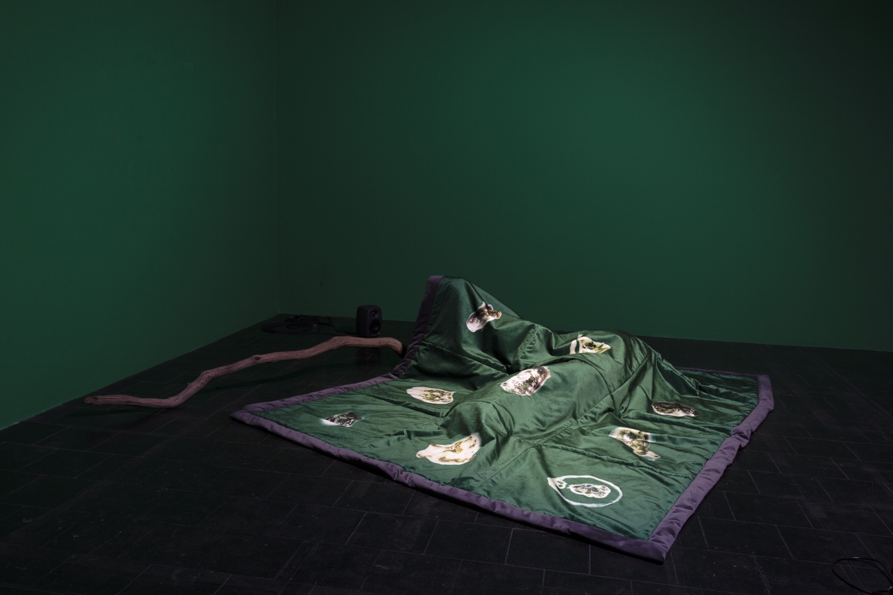 Hörner/Antlfinger, „Karl’s Islands“, 2019