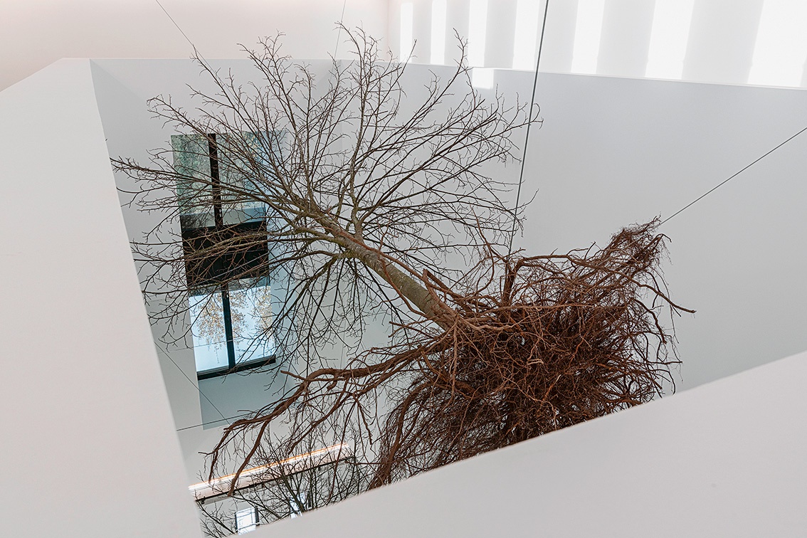 Adrian Piper, „I’m the Tree“, 2024