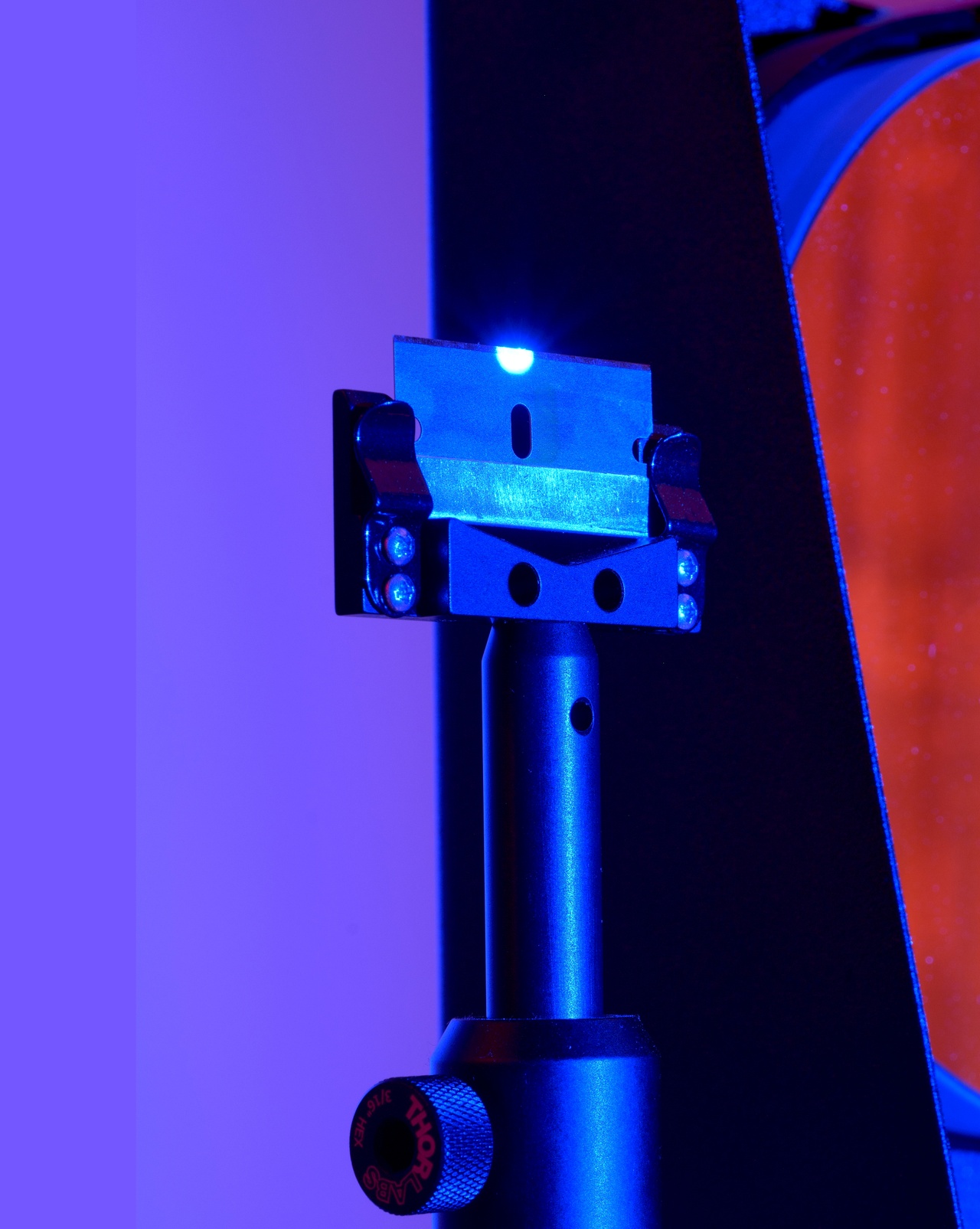 Constantina Zavitsanos, “Ace of Spades” (detail), 2024