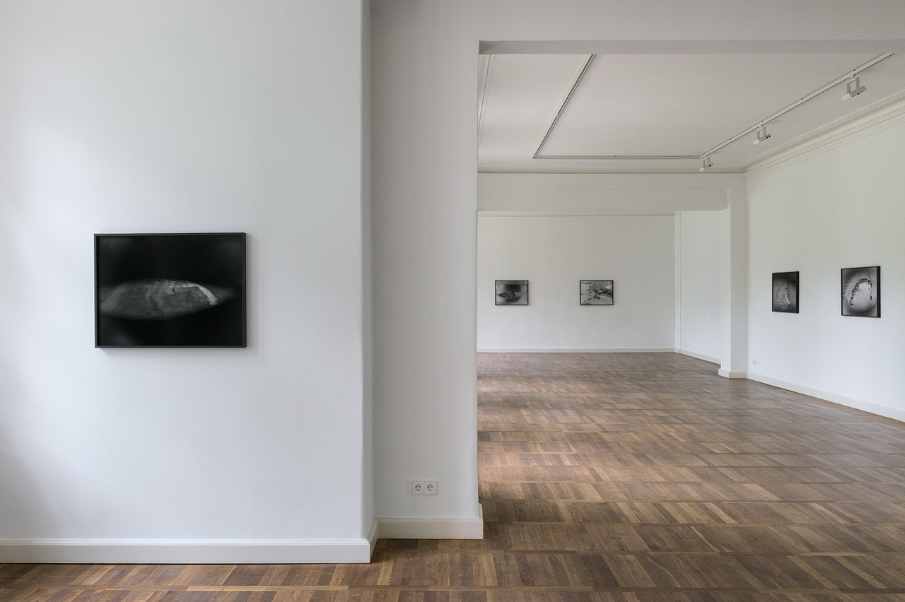 „Josephine Pryde: How Frequency The Eye”, Haus am Waldsee, Berlin, 2024
