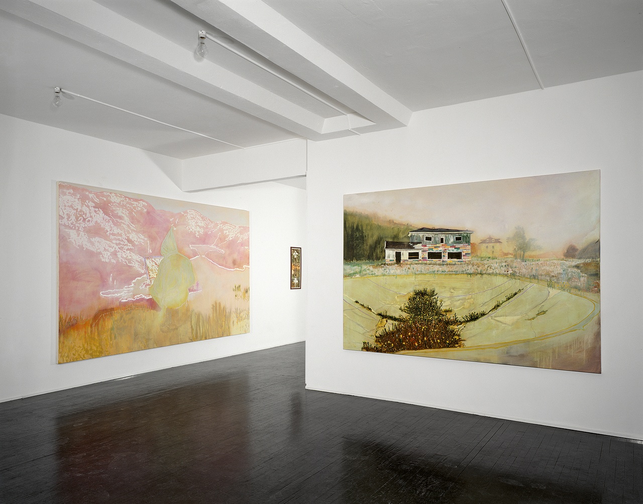 “Peter Doig: Country Rock,” Contemporary Fine Arts, Berlin, 1999