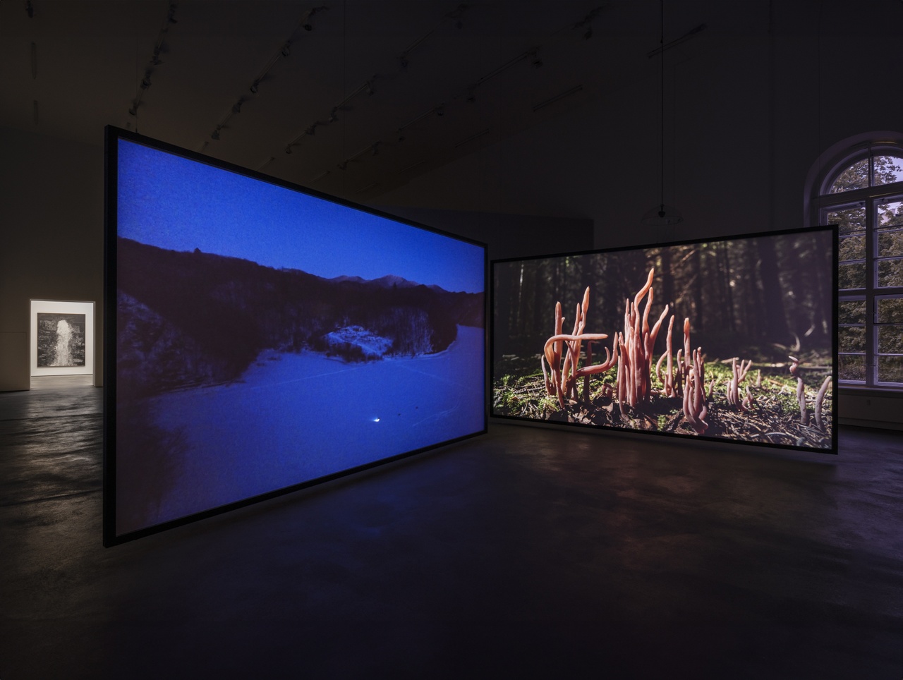 Liu Yujia, „Mushrooms“ und „A Darkness Shimmering in the Light“, beide 2023