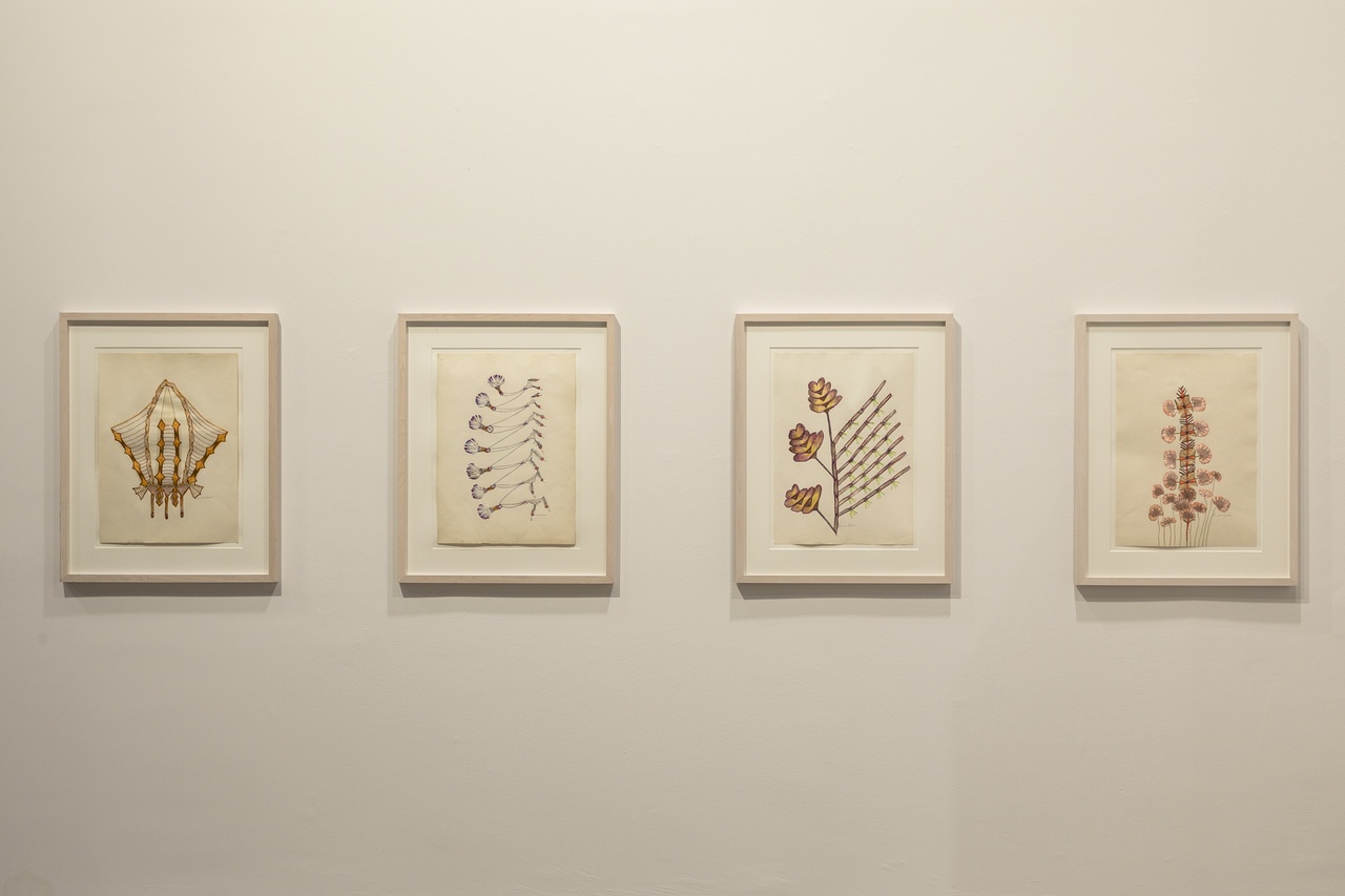 Anna Zemánková in „Stranieri Ovunque – Foreigners Everywhere“, 60. Biennale in Venedig, 2024