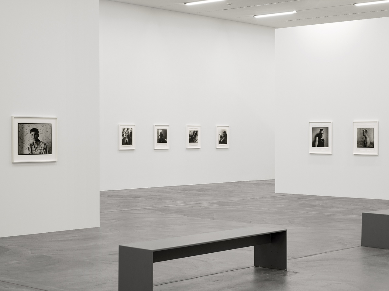 “David Armstrong,” Kunsthalle Zürich, 2024