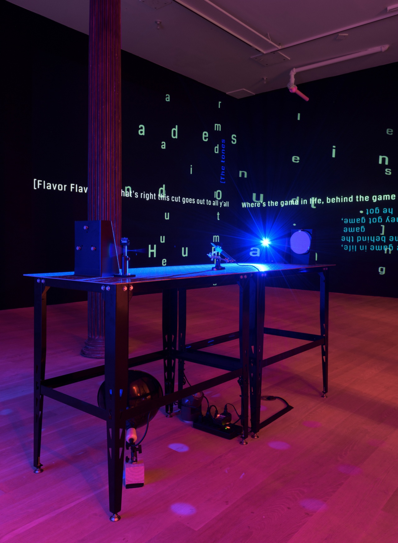 “Constantina Zavitsanos: fwiw,” Artists Space, 2024