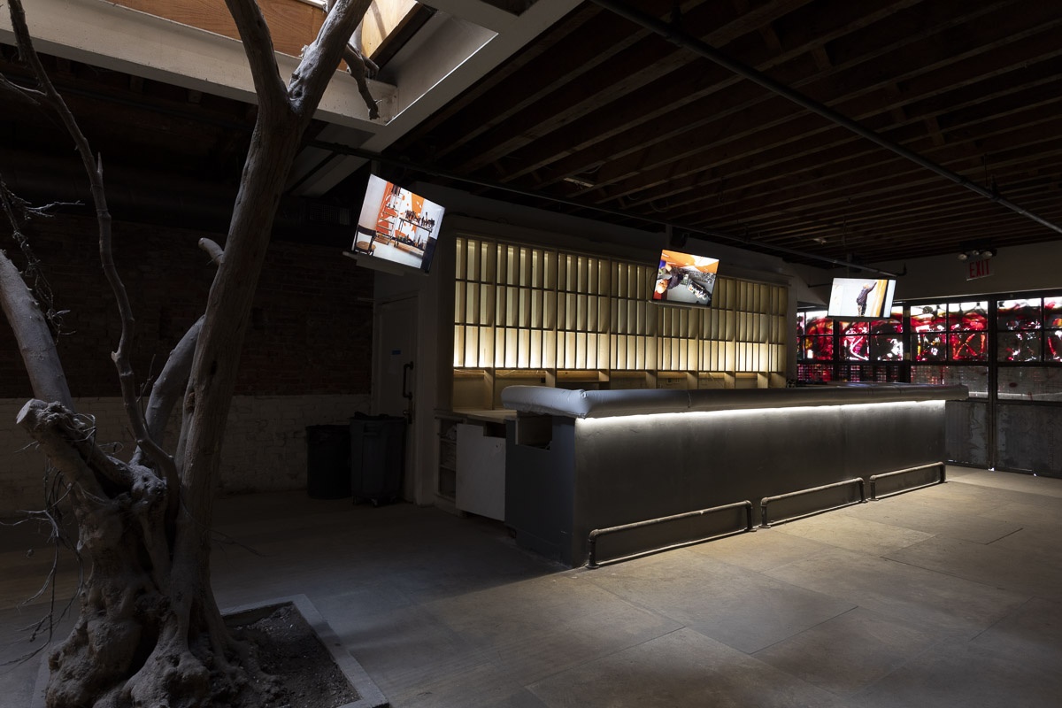 “Matthew Barney and Alex Katz: The Bitch,” O’Flaherty’s, New York, 2024