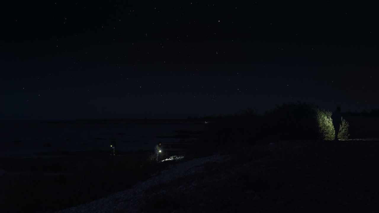 Sharon Lockhart, “EVENTIDE,” 2022, film still