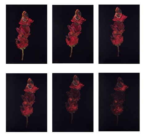 Ross Bleckner, „As It Goes“, 2021, Set (6 Unikate)
