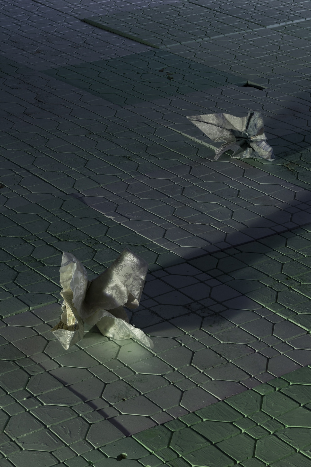 Tan Jing, „Floor Tiles and Flowers“, 2023