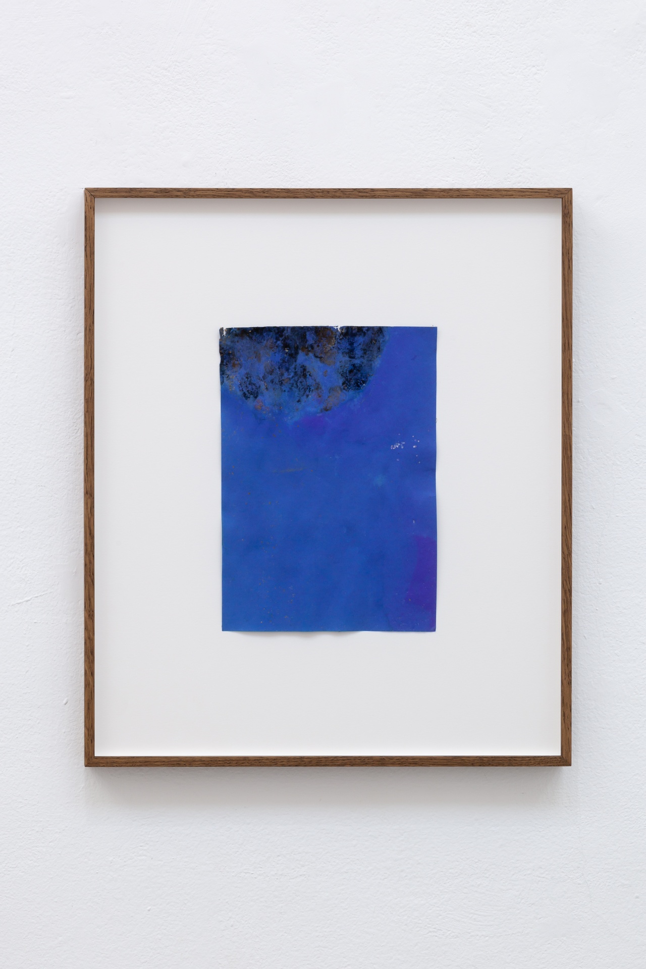 Dorit Margreiter Choy, “We and the Garden (Pflanze 2, Wintergarten),” 2023