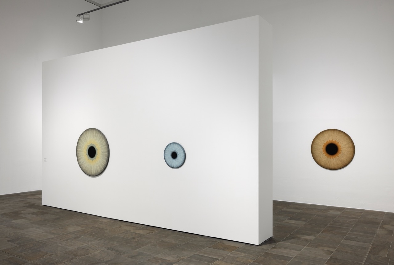 „Ulla Wiggen: OUTSIDE / INSIDE“, Fridericianum, Kassel, 2024