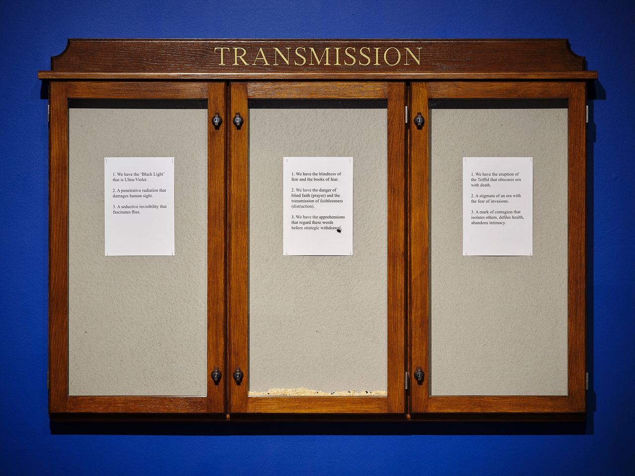 Hamad Butt, “Fly-Piece,” 1990